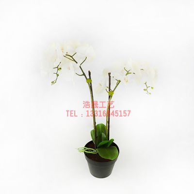 東莞廠家直銷，優質仿真盆栽裝飾，定制您的理想塑料植物盆景