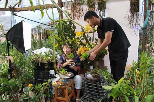 90后小伙解鎖電商密碼，云南龍陵花卉年銷突破千萬元