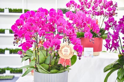 花漾生活，融合自然與日?！谌龑脧V州國際(流溪)花卉博覽會側記