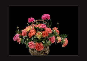 中山公園迎春花卉網絡技術的研究與應用